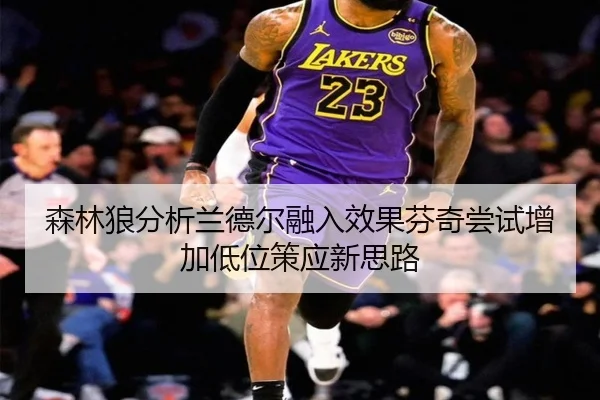 森林狼分析兰德尔融入效果芬奇尝试增加低位策应新思路